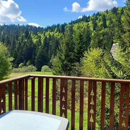 Individuel Chaleureux Au Pied Des Pistes - Fr-1-787-128 木屋