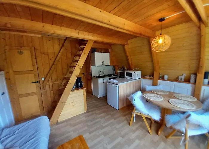 Individuel Chaleureux Au Pied Des Pistes - Fr-1-787-128 Chalet Laveissiere